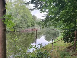 Mauersteinlöcher Kodersdorf-1