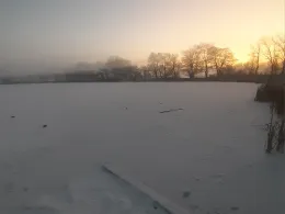 Karpfenteiche Groß Lüsewitz