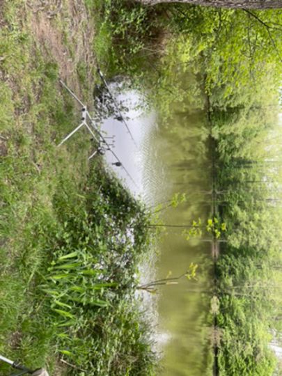 Kleiner Opfinger See-1