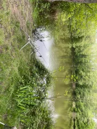 Kleiner Opfinger See-1