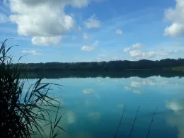 Bassin des Mouettes-1