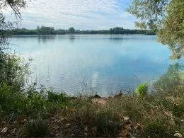 Bassin des Mouettes-2