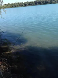 Bassin des Mouettes-3