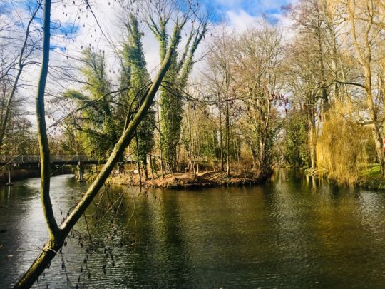 Nottekanal (Königs Wusterhausen) angeln