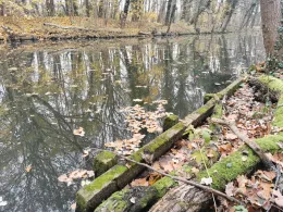 Nottekanal (Königs Wusterhausen)-4