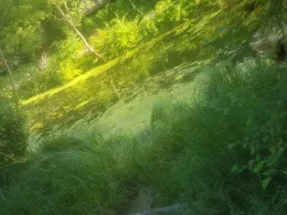 Nottekanal (Königs Wusterhausen)-3