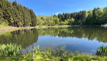 Rothsee (Bischofsheim an der Rhön)-3