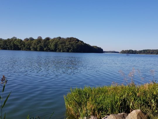 Dobbertiner See angeln