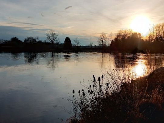 Donau (Ulm)-4