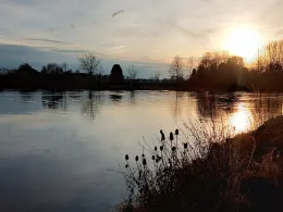 Donau (Ulm)-4
