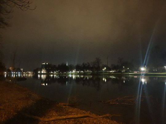 Donau (Ulm) angeln