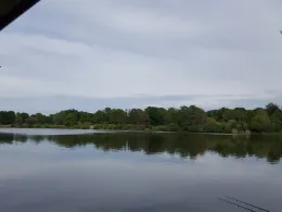 Großer Schillerteich (Wolfsburg)-1