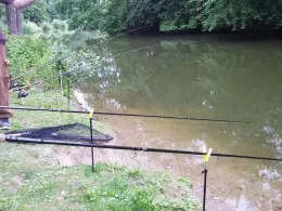 Großer Schillerteich (Wolfsburg)