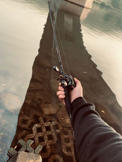 Mosel (Riol-Mehring)-2