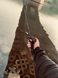 Mosel (Riol-Mehring)-2