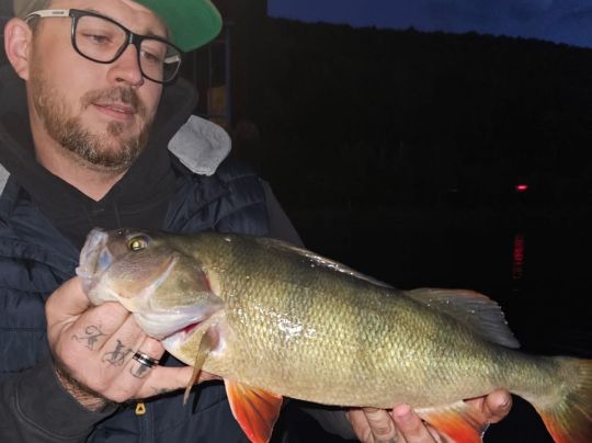 Mosel (Riol-Mehring)-1