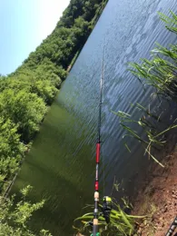 Absinkweiher (Fischbach)-2