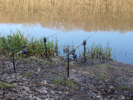 Absinkweiher (Fischbach)-4