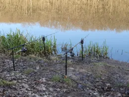 Absinkweiher (Fischbach)-4