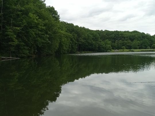 Absinkweiher (Fischbach)-1