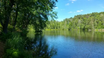 Pichersee (Gr. Wasserburg)-3