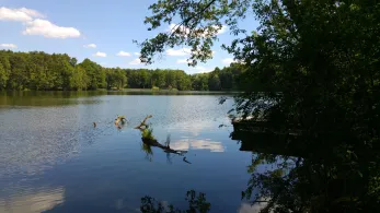Pichersee (Gr. Wasserburg)-2