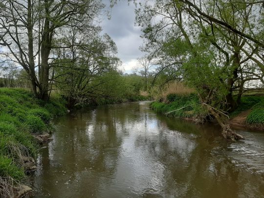 Roter Main (Oberzettlitz)