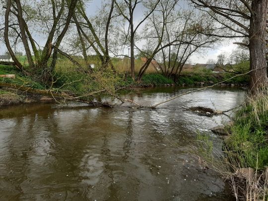 Roter Main (Oberzettlitz)-1