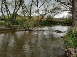 Roter Main (Oberzettlitz)-1