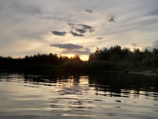 Kiesgrube Sachsendorf