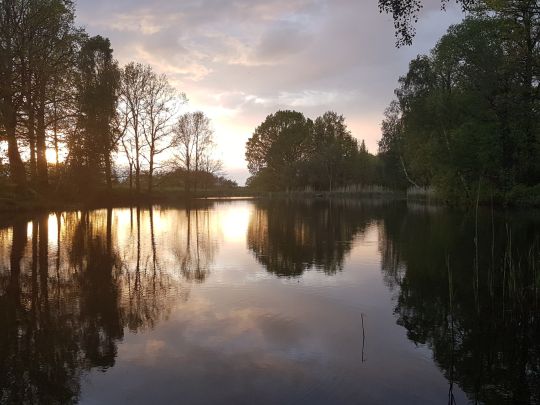 Streunenteich Mauschwitz-2