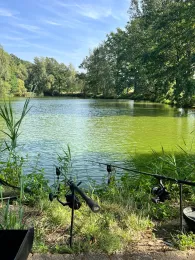 Streunenteich Mauschwitz