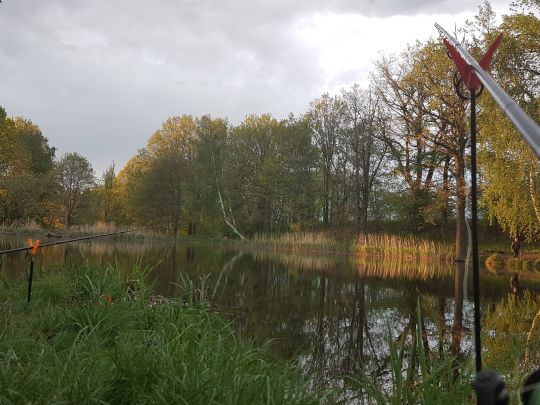 Streunenteich Mauschwitz-3