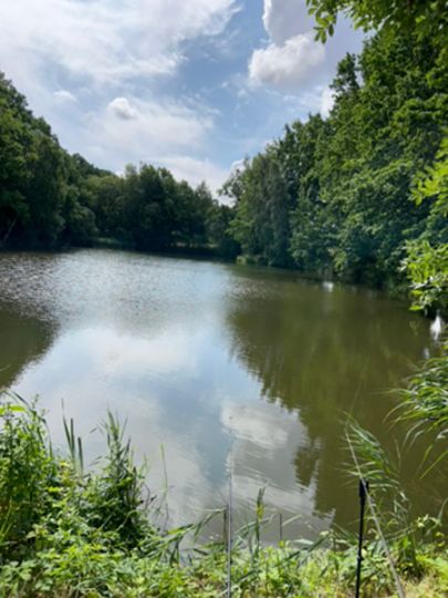 Streunenteich Mauschwitz-1