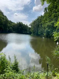 Streunenteich Mauschwitz-1