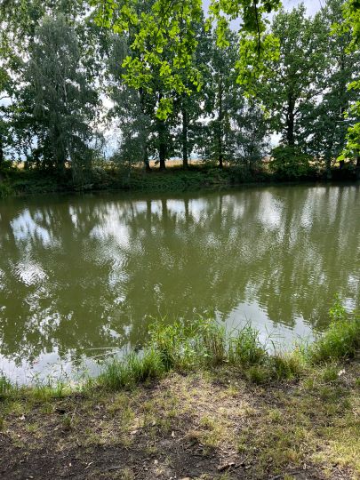 Streunenteich Mauschwitz-4