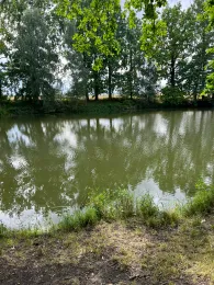 Streunenteich Mauschwitz-4