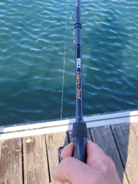 Flensburger Förde (Ostseebad)-1