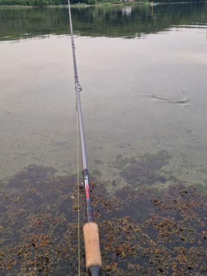 Flensburger Förde (Ostseebad)-3