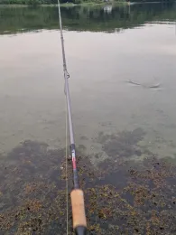 Flensburger Förde (Ostseebad)-3