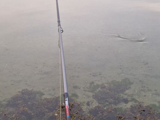 Flensburger Förde (Ostseebad)-4