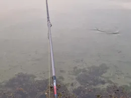 Flensburger Förde (Ostseebad)-4