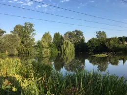 Alter Elsterarm (Bad Köstritz)-1