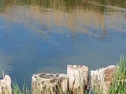 Martinshafen (Sagard)