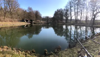 Teichanlage FV Obersunzing