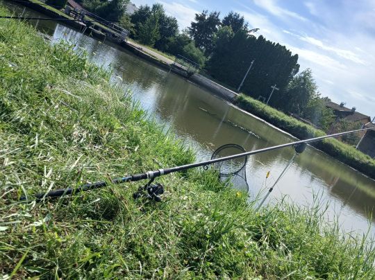 Canal du Rhône au Rhin (Dannemarie)-1