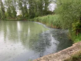 Ottilienteich (Röblingen am See)