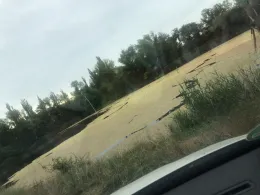 Ottilienteich (Röblingen am See)-1