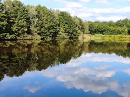 Retentie Vijver (Winterswijk)-1