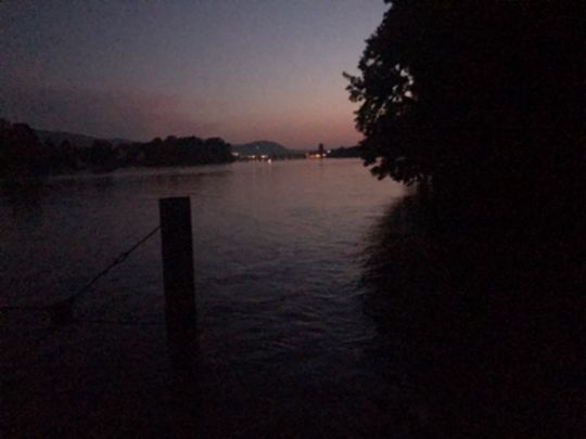 Rhein (Grenzach-Wyhlen)-1